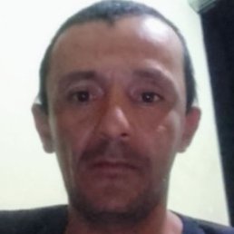 ����, �������, 40 ���