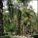 ���� ������, ����, 47 ��� - ��������� 13 ����� 2023 � ������ ���� ����������