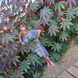 ������, �����������, 56 ���