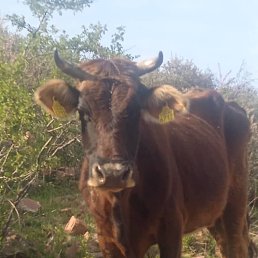 ���� �����, ������, 33 ���� - ��������� 30 ������ 2023