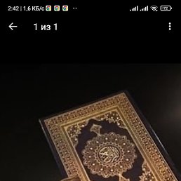 �����, ������, 35 ���