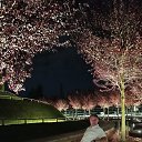 ���� ���������, �����, 45 ��� - ��������� 18 ������ 2023 � ������ ���� ����������