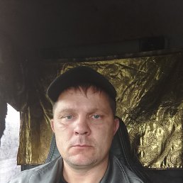 ���� ����, �����������, 40 ��� - ��������� 3 �������� 2023