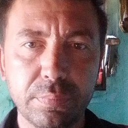 ������, ������, 39 ���