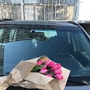 ���� ������ �����, ��������� - ��������� 10 ����� 2023 � ������ ���� ����������