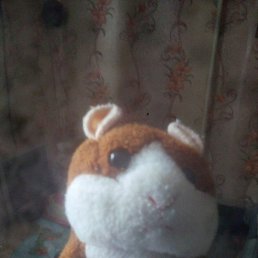 ����, ������������, 40 ���