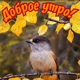 ���� ��������, �������, 64 ���� - ��������� 12 ������� 2023