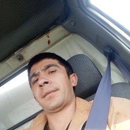 ������, ���������, 34 ����