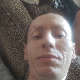 �������, ������, 41 ���