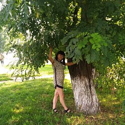 �����, �����, 48 ���