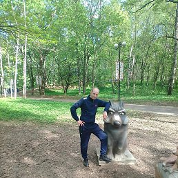 ����, ������, 38 ���