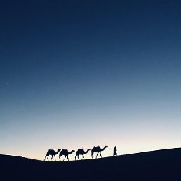 �����, ������, 46 ���