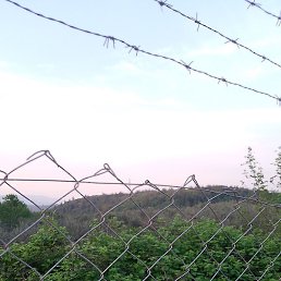 Talip, ������, 51 ���