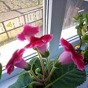 ���� ������, ������, 50 ��� - ��������� 9 ���� 2023