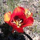 ���� ��������, �������, 50 ��� - ��������� 20 ������� 2023 � ������ ���������