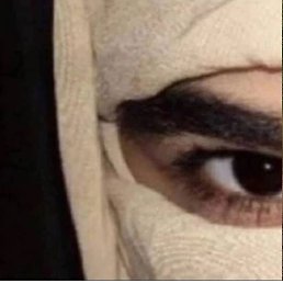 ����, ������������, 23 ����