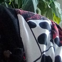 ���������, ������, 63 ����