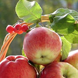 �����, ������, 74 ����