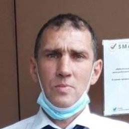 ������, ������, 49 ���