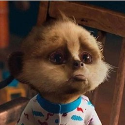 ������, ��������, 40 ���