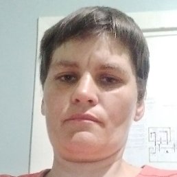 ����, �����, 40 ���