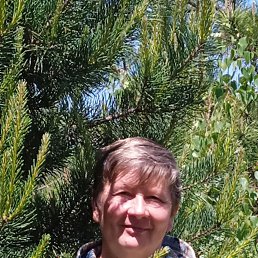 ���� �����, ���������, 54 ���� - ��������� 7 ��� 2023