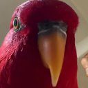 ���� ������, ��������������, 25 ��� - ��������� 29 �������� 2023