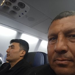 �������, �������, 46 ���