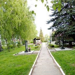 ����, ������, 37 ���