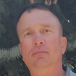 ������, ���������, 40 ���