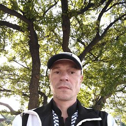 �������, �����, 44 ����