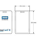 ���� ���, ��������, 36 ��� - ��������� 12 ��� 2023 � ������ ���� ����������