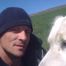  ˸, --, 43  -  4  2023