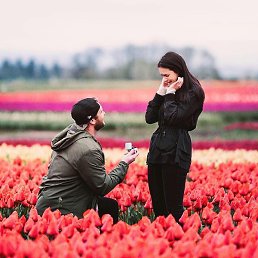 ����, ������, 39 ���