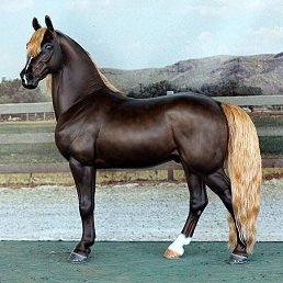 ���� ���, ������, 35 ��� - ��������� 21 ������� 2023