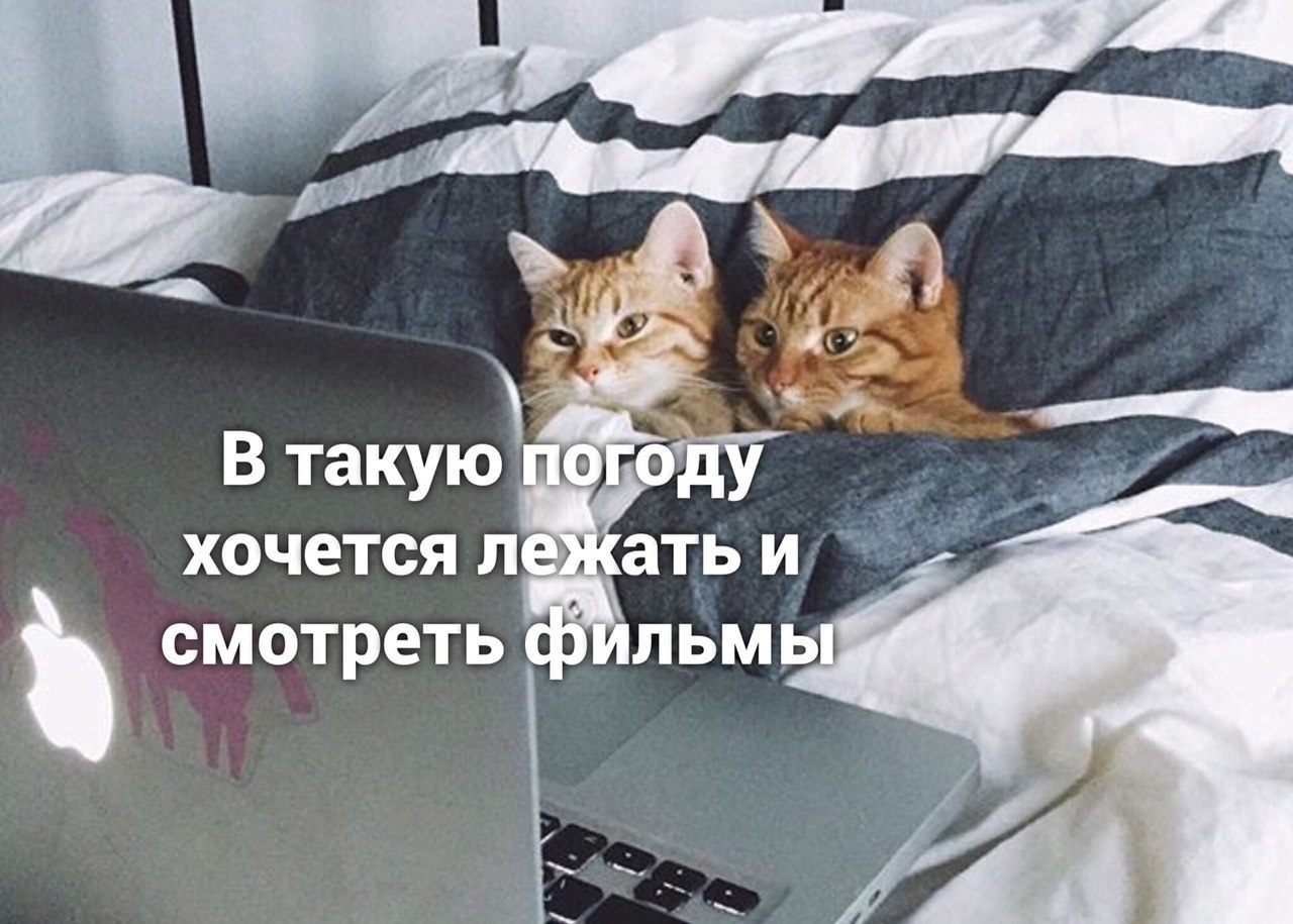   )