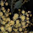���� �������, ����, 55 ��� - ��������� 7 ����� 2023 � ������ ���� ����������