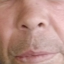 ������, �����������, 56 ���