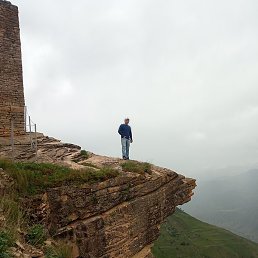 �����, ������, 37 ���