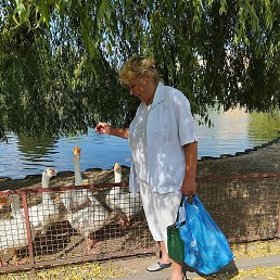 ����, �����, 72 ����