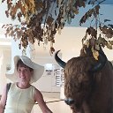 ���� ���������, �����-���������, 53 ���� - ��������� 15 ������� 2023 � ������ ���� ����������