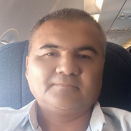 �����, �������, 50 ���