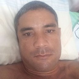 David, ������, 41 ���