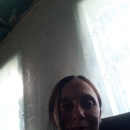 ���, ������, 37 ���