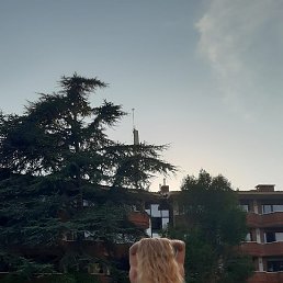 Akira, �������, 37 ���