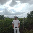 ���� ����, �������, 51 ��� - ��������� 14 ���� 2023 � ������ ���� ����������