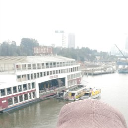  Maxim, , 51  -  11  2023