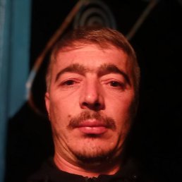 ������, ������, 44 ����