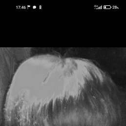 ��������, ��������, 63 ����