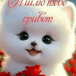 �������, ������, 53 ����